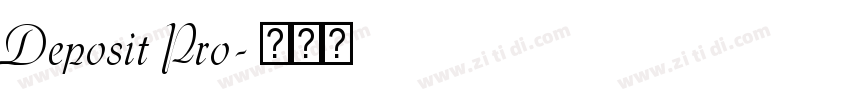Deposit Pro字体转换